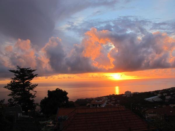 הוילה קלייטה Madeira House חדר תמונה